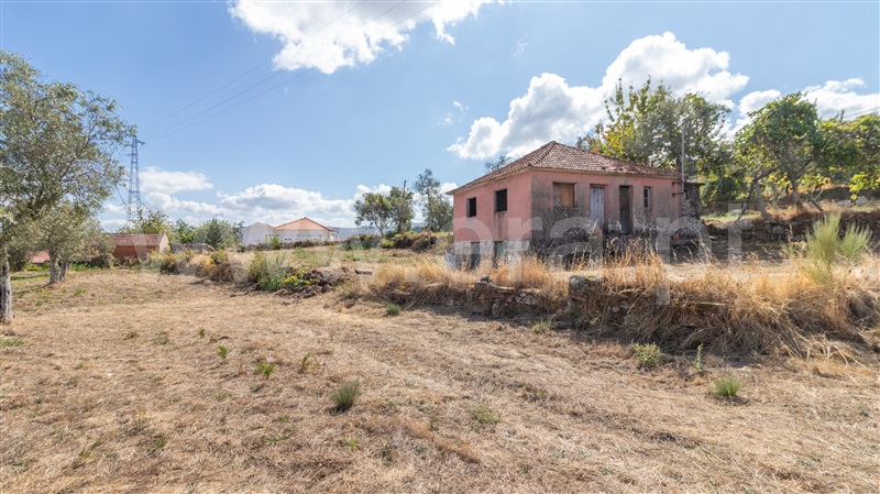 Terreno  Cinfães - 1507442 - 14