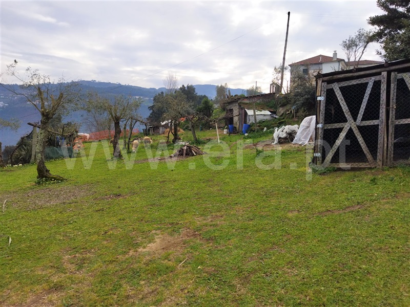 Terreno  Cinfães, Espadanedo - 1301961 - 2