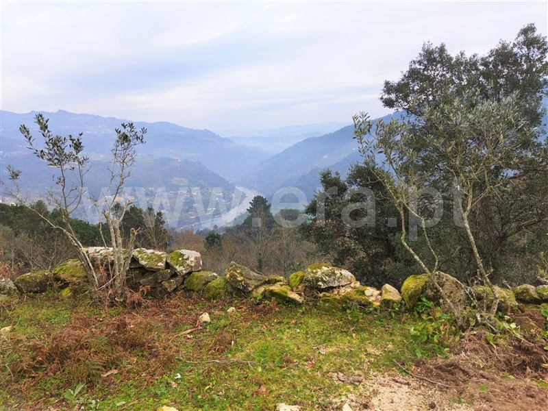 Terreno  Cinfães, Espadanedo - 1301961 - 4
