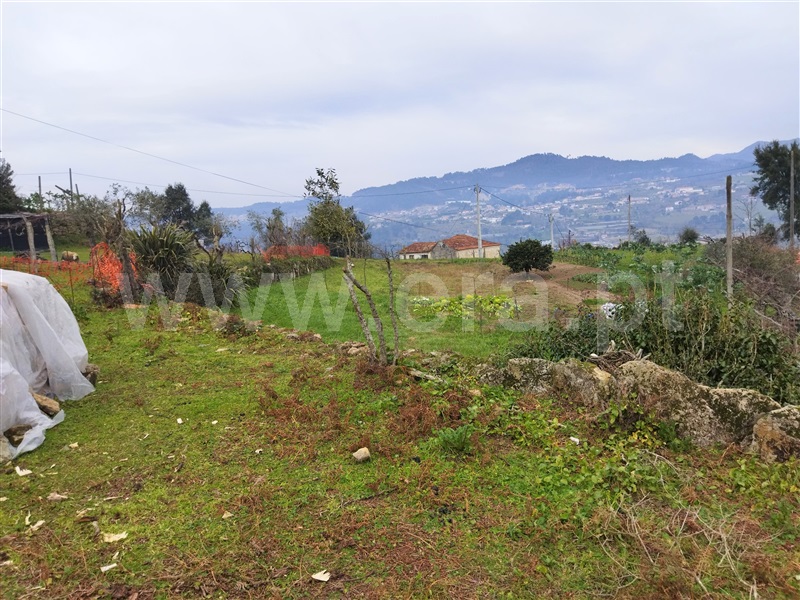 Terreno  Cinfães, Espadanedo - 1301961 - 6