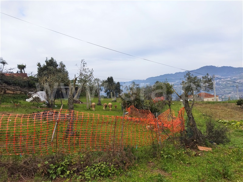 Terreno  Cinfães, Espadanedo - 1301961 - 7
