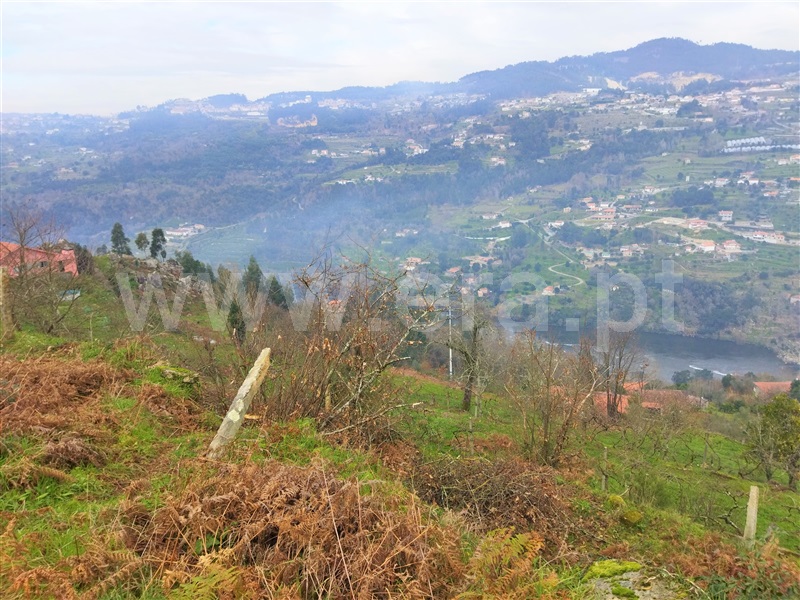 Terreno  Cinfães, Espadanedo - 1301966 - 3