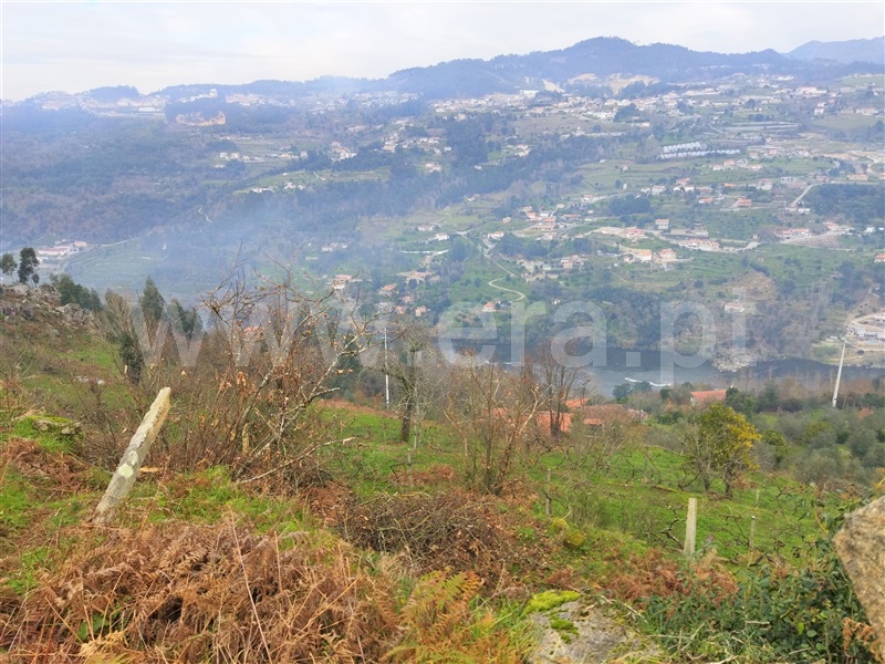 Terreno  Cinfães, Espadanedo - 1301966 - 4