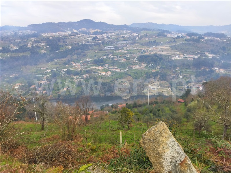 Terreno  Cinfães, Espadanedo - 1301966 - 5
