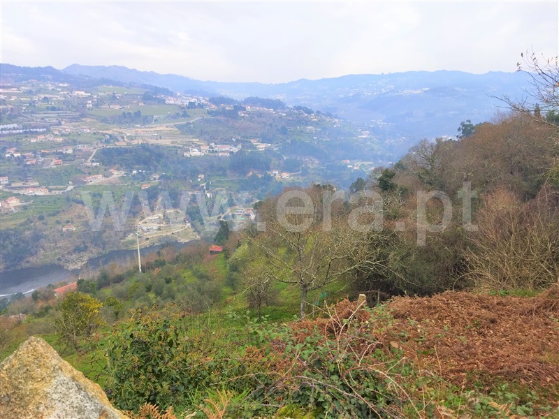 Terreno  Cinfães, Espadanedo - 1301966 - 6