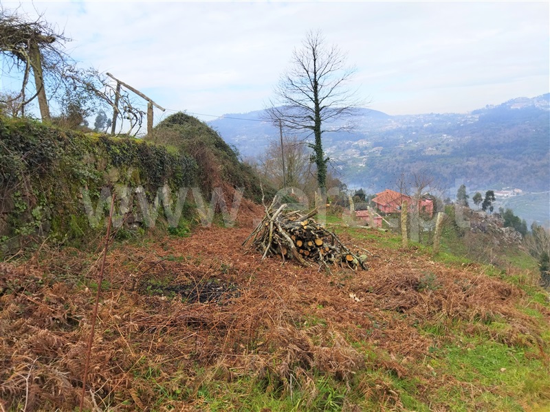 Terreno  Cinfães, Espadanedo - 1301966 - 7