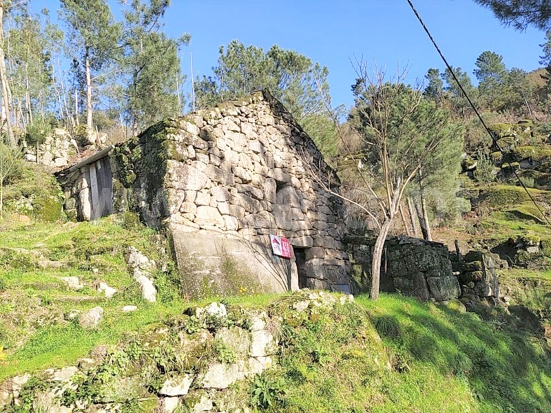 Terreno  Cinfães, Ferreiros de Tendais - 1297594 - 1