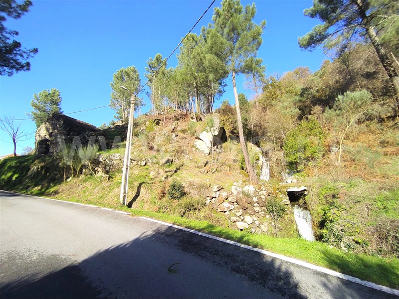 Terreno  Cinfães, Ferreiros de Tendais - 1297594 - 3