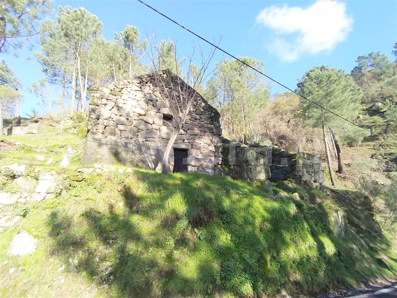 Terreno  Cinfães, Ferreiros de Tendais - 1297594 - 4