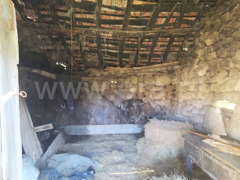 Terreno  Cinfães, Ferreiros de Tendais - 1297594 - 5