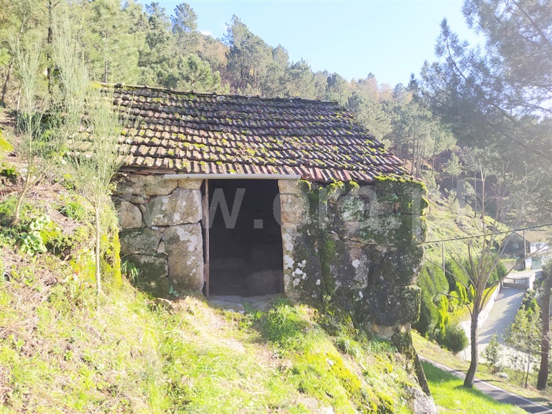 Terreno  Cinfães, Ferreiros de Tendais - 1297594 - 6