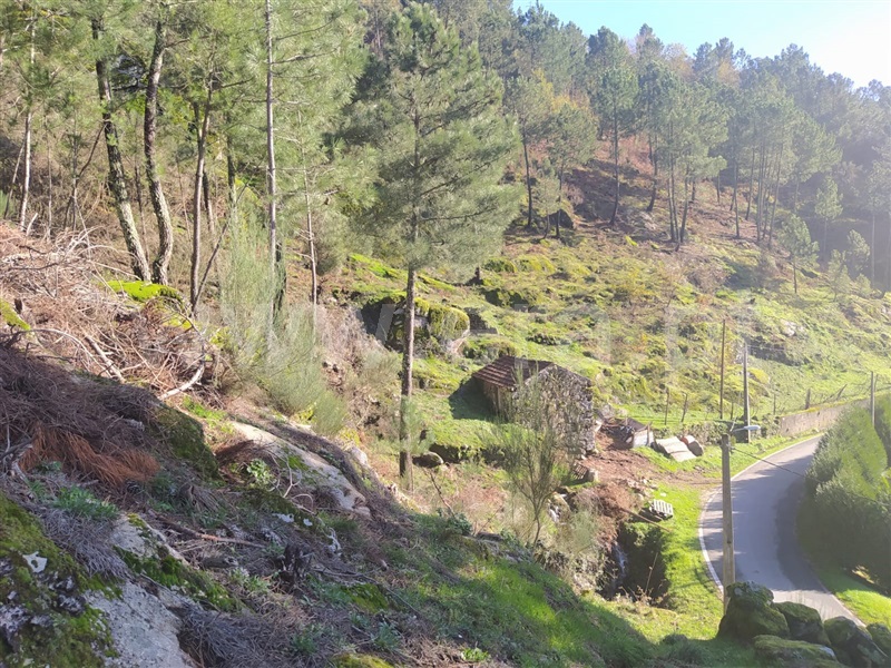 Terreno  Cinfães, Ferreiros de Tendais - 1297594 - 7