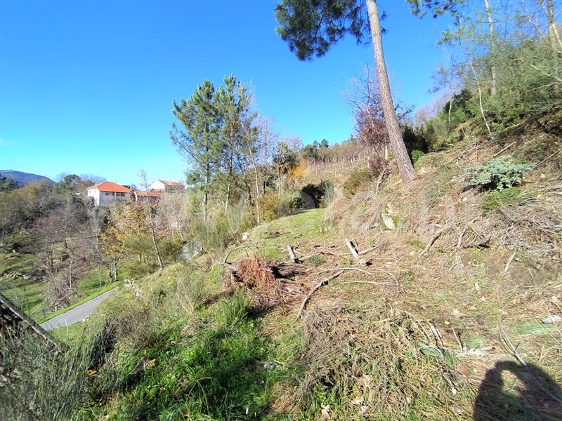 Terreno  Cinfães, Ferreiros de Tendais - 1297594 - 8