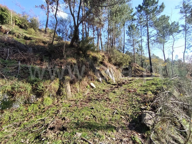 Terreno  Cinfães, Ferreiros de Tendais - 1297594 - 9