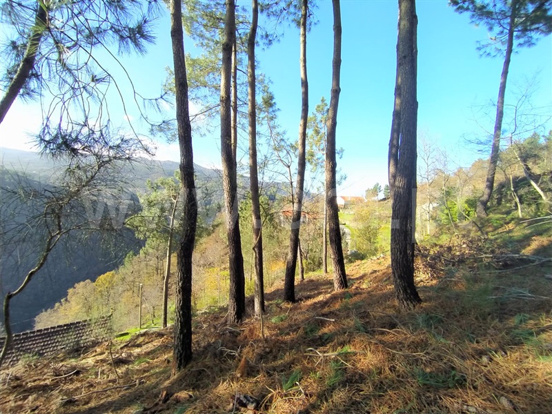 Terreno  Cinfães, Ferreiros de Tendais - 1297594 - 10