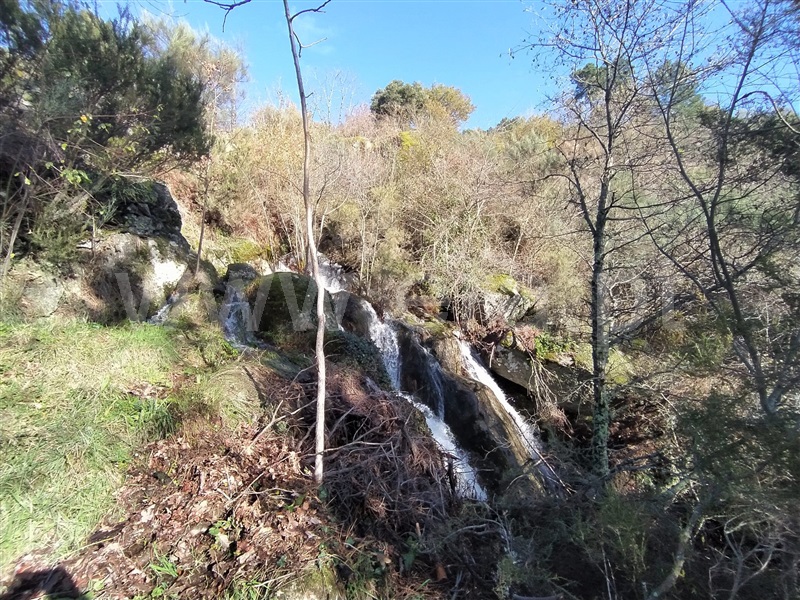 Terreno  Cinfães, Ferreiros de Tendais - 1297594 - 11