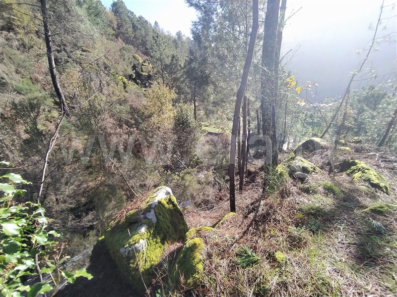 Terreno  Cinfães, Ferreiros de Tendais - 1297594 - 12