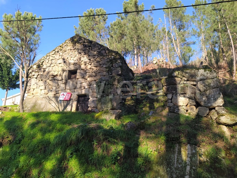 Terreno  Cinfães, Ferreiros de Tendais - 1297594 - 13