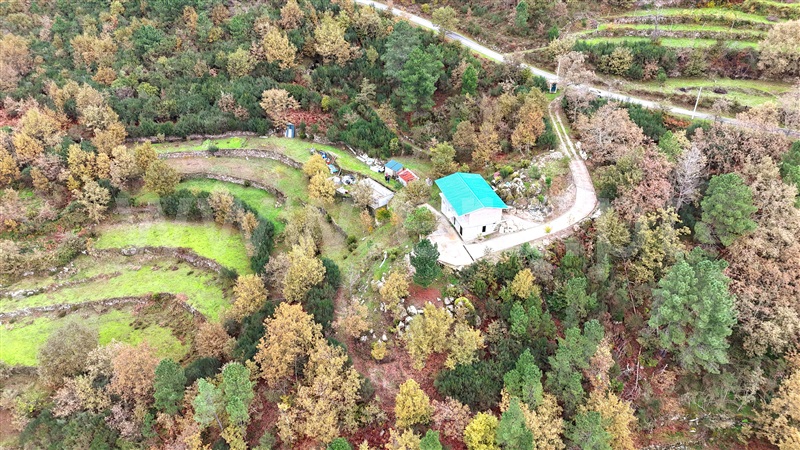 Terreno / Cinfães, Ferreiros de Tendais