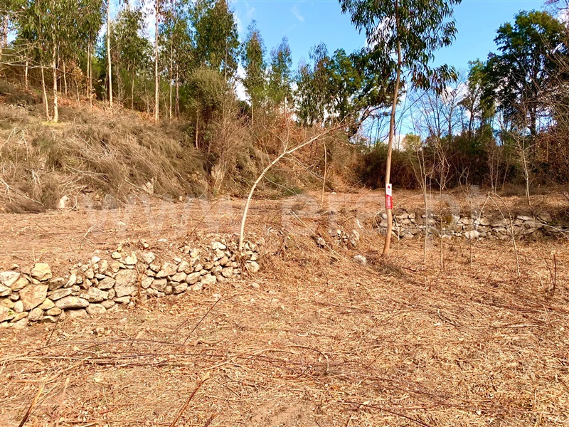 Terreno  Cinfães, Fornelos - 1311369 - 1