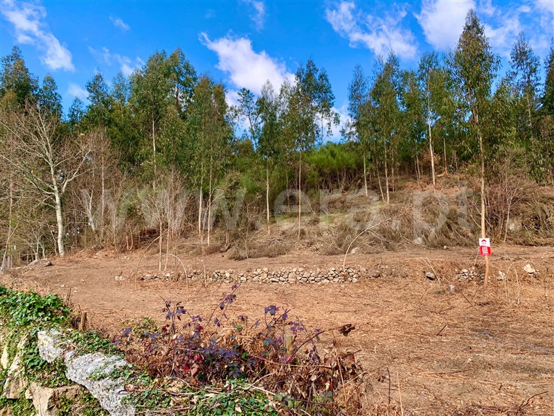 Terreno  Cinfães, Fornelos - 1311369 - 4