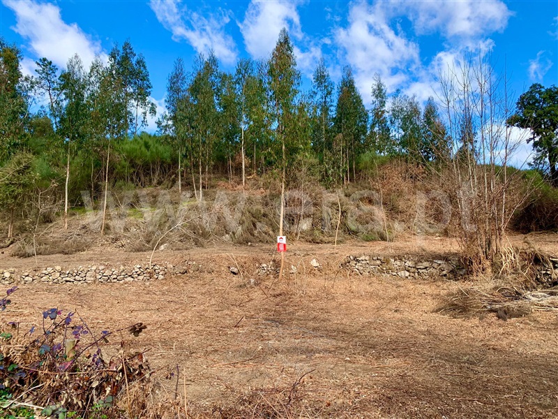 Terreno  Cinfães, Fornelos - 1311369 - 5