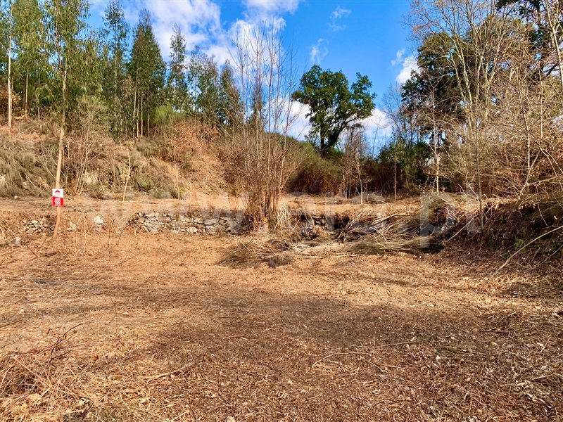 Terreno / Cinfães, Fornelos