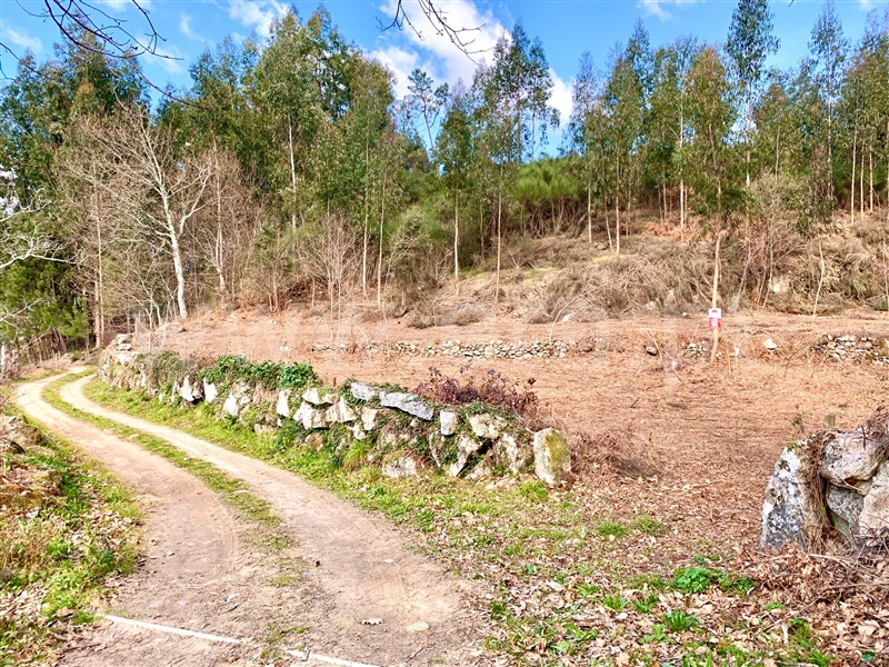 Terreno  Cinfães, Fornelos - 1311369 - 7