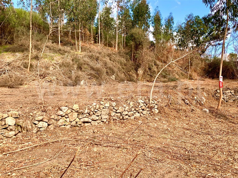 Terreno  Cinfães, Fornelos - 1311369 - 8