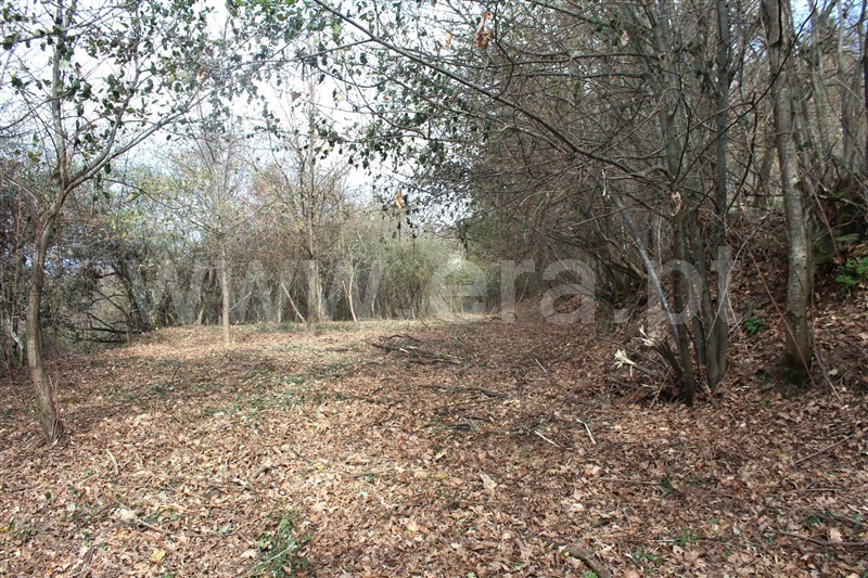 Terreno  Cinfães, Fornelos - 1381503 - 1