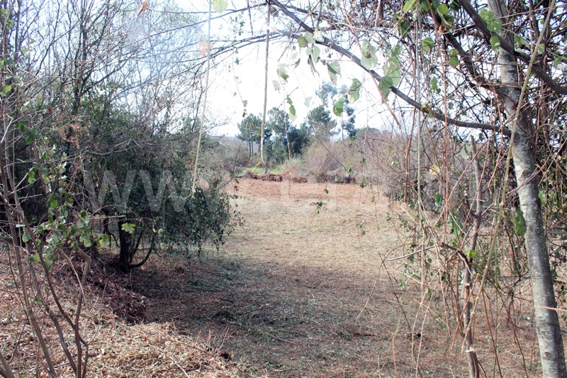 Terreno  Cinfães, Fornelos - 1381503 - 2