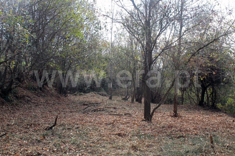 Terreno  Cinfães, Fornelos - 1381503 - 3