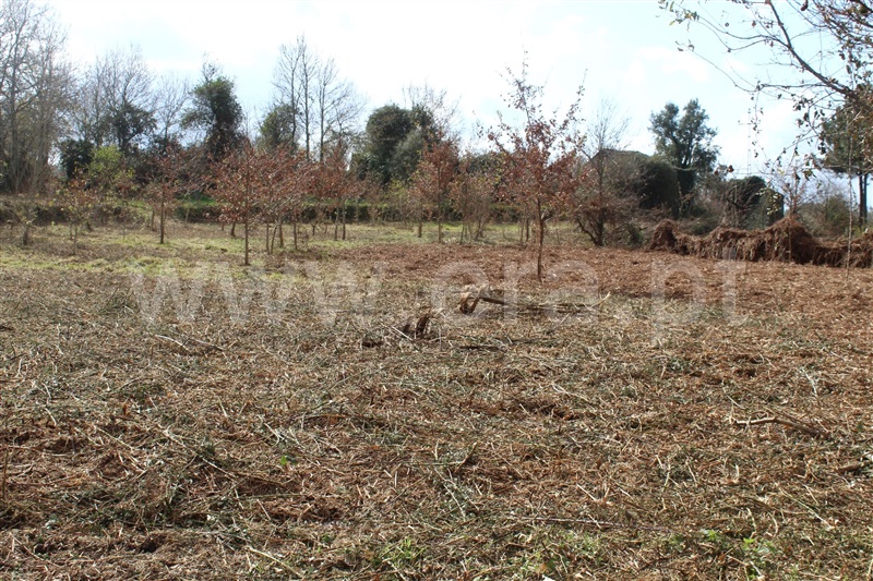 Terreno  Cinfães, Fornelos - 1381503 - 4