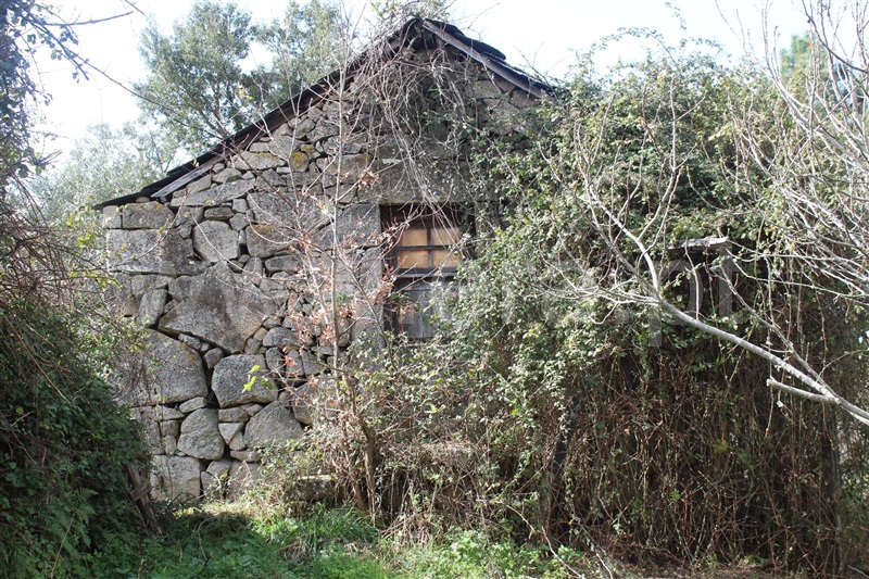 Terreno / Cinfães, Fornelos