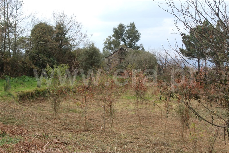 Terreno  Cinfães, Fornelos - 1381503 - 6