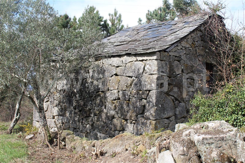 Terreno  Cinfães, Fornelos - 1381503 - 7