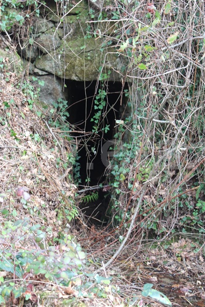 Terreno  Cinfães, Fornelos - 1381503 - 8