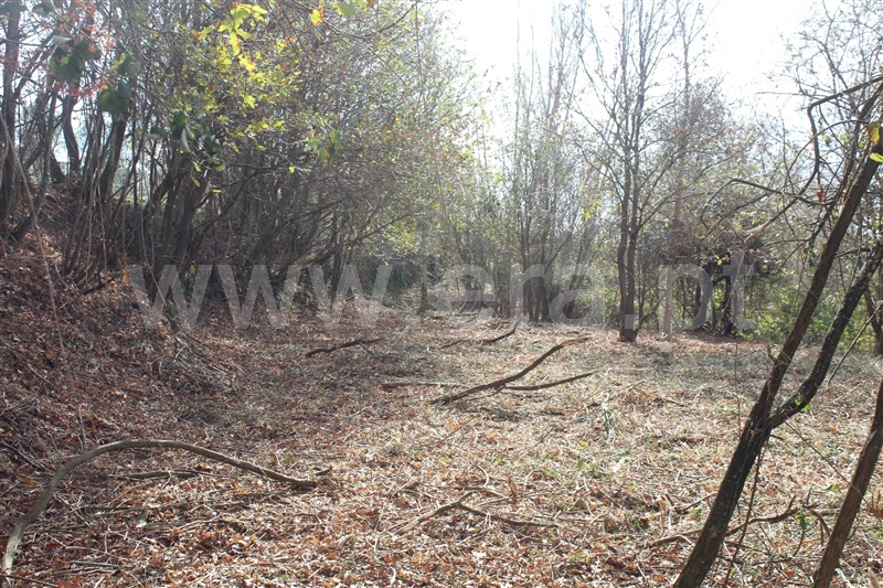 Terreno  Cinfães, Fornelos - 1381503 - 9