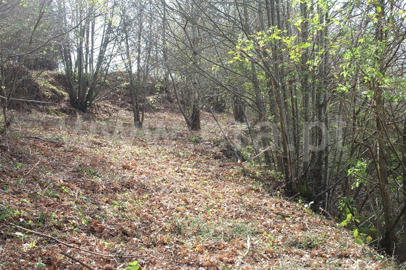 Terreno  Cinfães, Fornelos - 1381503 - 10