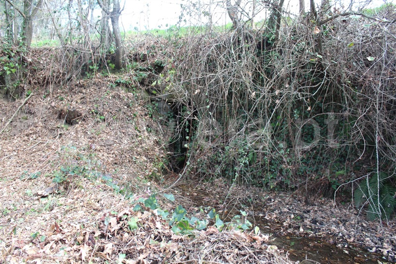 Terreno  Cinfães, Fornelos - 1381503 - 14