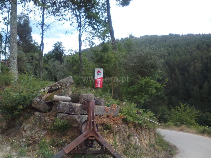 Terreno / Cinfães, Nespereira