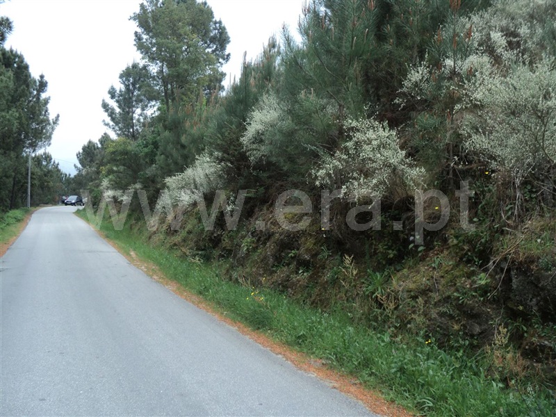 Terreno  Cinfães, Oliveira do Douro - 813870 - 1