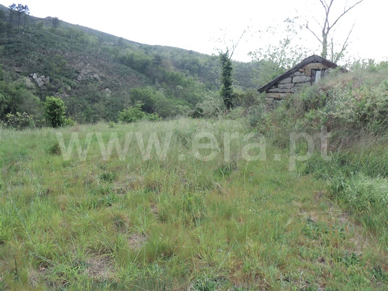 Terreno  Cinfães, Oliveira do Douro - 813870 - 6