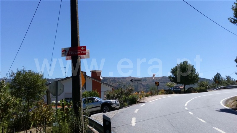 Terreno / Cinfães, Oliveira do Douro