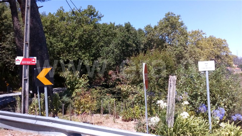 Terreno  Cinfães, Oliveira do Douro - 849655 - 2