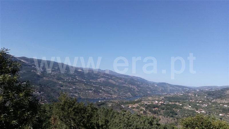 Terreno  Cinfães, Oliveira do Douro - 849655 - 6