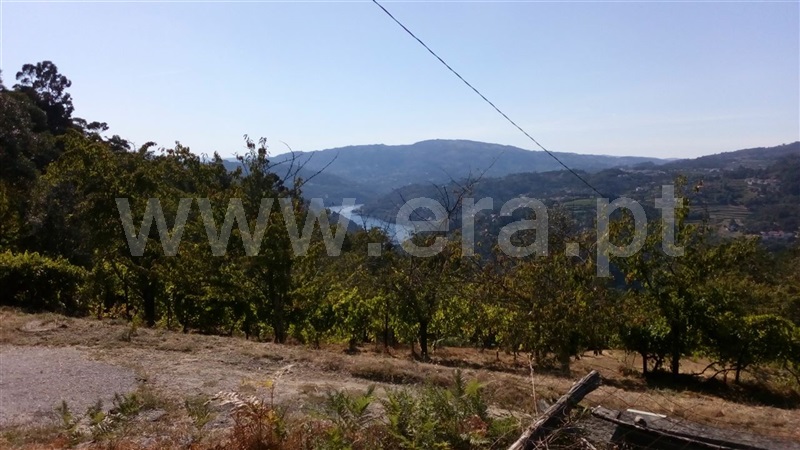 Terreno  Cinfães, Oliveira do Douro - 849655 - 7
