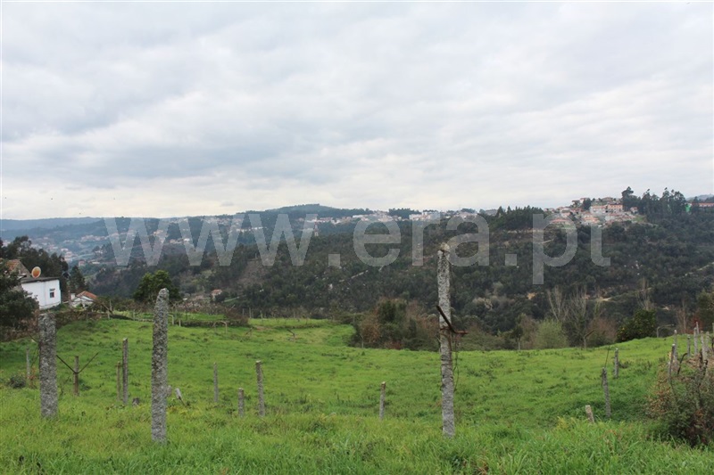 Terreno / Cinfães, Rio Douro