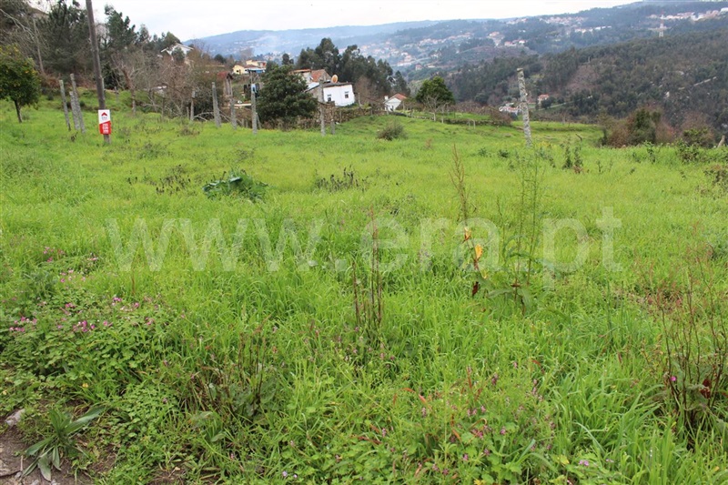 Terreno  Cinfães, Rio Douro - 800826 - 3