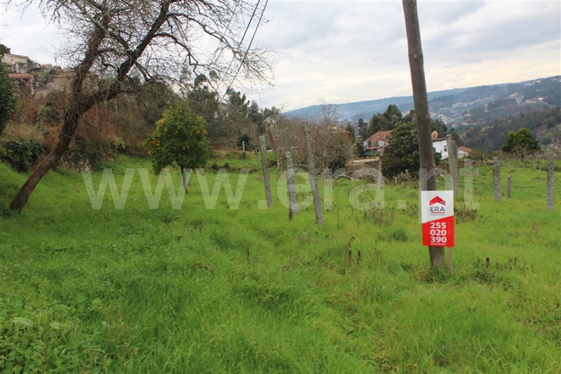 Terreno  Cinfães, Rio Douro - 800826 - 5